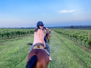 horse riding 2