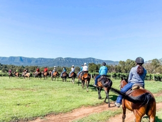 horse riding 4